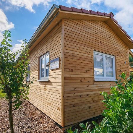 Tiny-Ferienhaeusle Casa Wendy Villa Loßburg Buitenkant foto