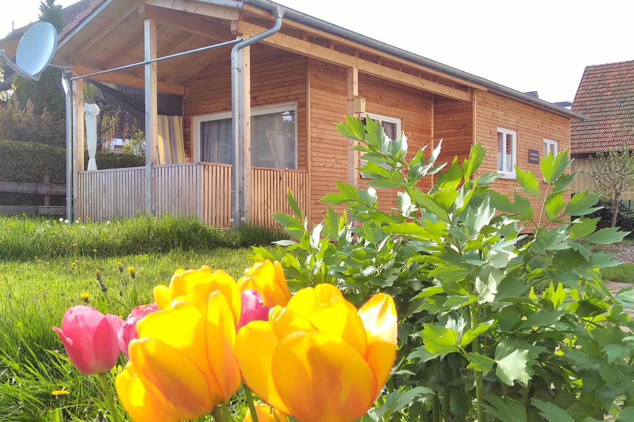 Tiny-Ferienhaeusle Casa Wendy Villa Loßburg Buitenkant foto