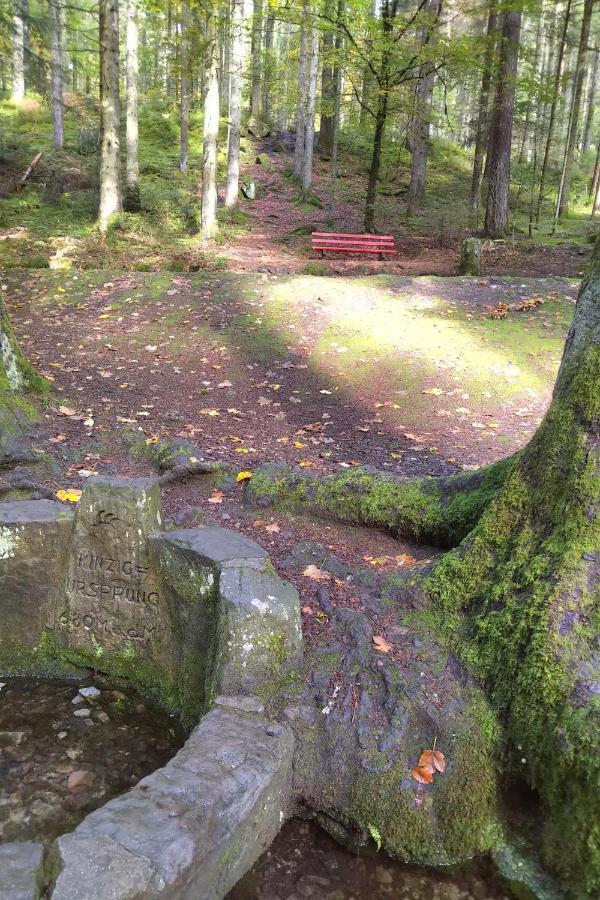 Tiny-Ferienhaeusle Casa Wendy Villa Loßburg Buitenkant foto